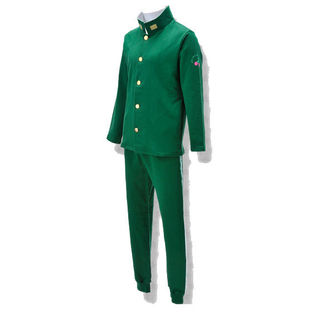 JoJo's Bizarre Adventure Noriaki Kakyoin-themed Sweatsuit