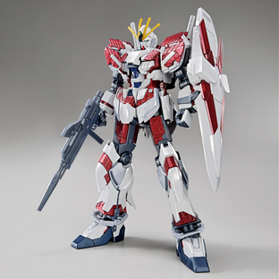  HG 1/144 THE GUNDAM BASE LIMITED NARRATIVE GUNDAM C-PACKS [TITANIUM FINISH]