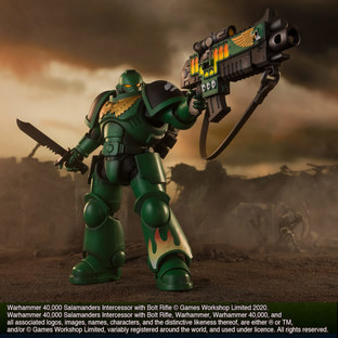 WARHAMMER 40,000 SALAMANDERS INTERCESSOR WITH BOLT RIFLE | Warhammer ...