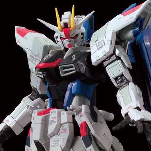 RG 1/144 THE GUNDAM BASE LIMITED ZGMF-X10A FREEDOM GUNDAM Ver.GCP