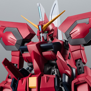 Robot Spirits <SIDE MS> GAT-X303 Aegis Gundam ver. A.N.I.M.E.