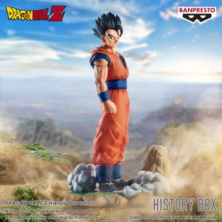 DRAGON BALL Z History Box vol.11