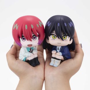 Yuzuriha Amate & Nyaan Megahouse Lookup Set