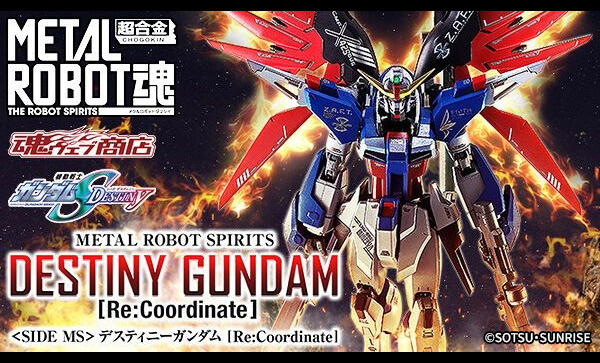 THE METAL ROBOT SPIRITS <SIDE MS> DESTINY GUNDAM [Re:Coordinate]