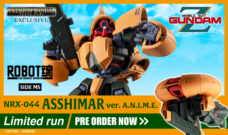THE ROBOT SPIRITS ＜SIDE MS＞ NRX-044 ASSHIMAR ver. A.N.I.M.E.