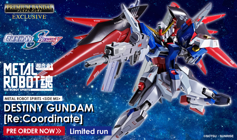 METAL ROBOT SPIRITS DESTINY GUNDAM Re:Coordonate