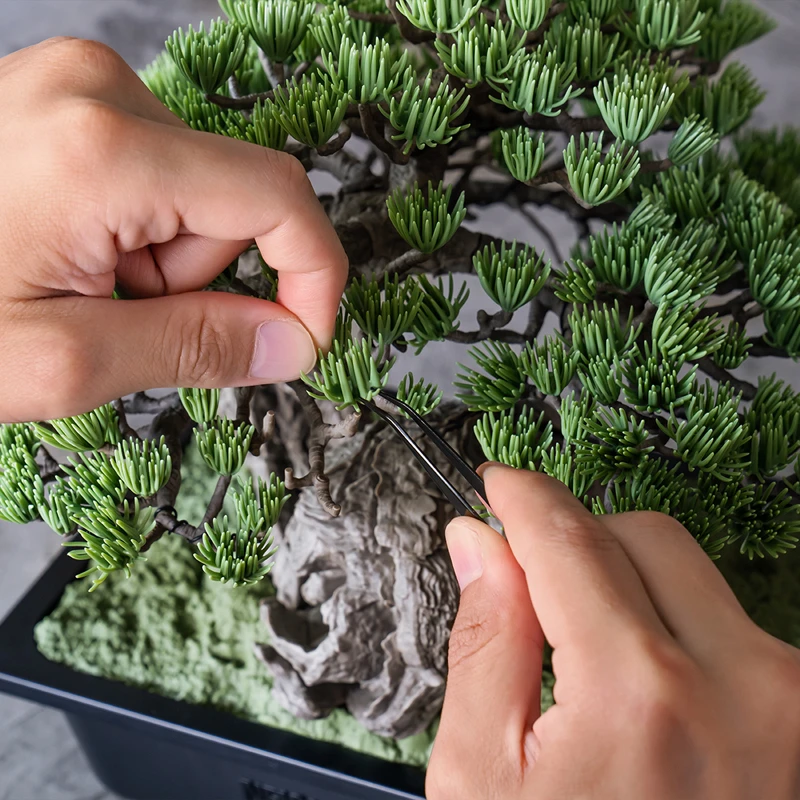 SRL X BANDAI SPIRITS. BONSAI MODEL KIT