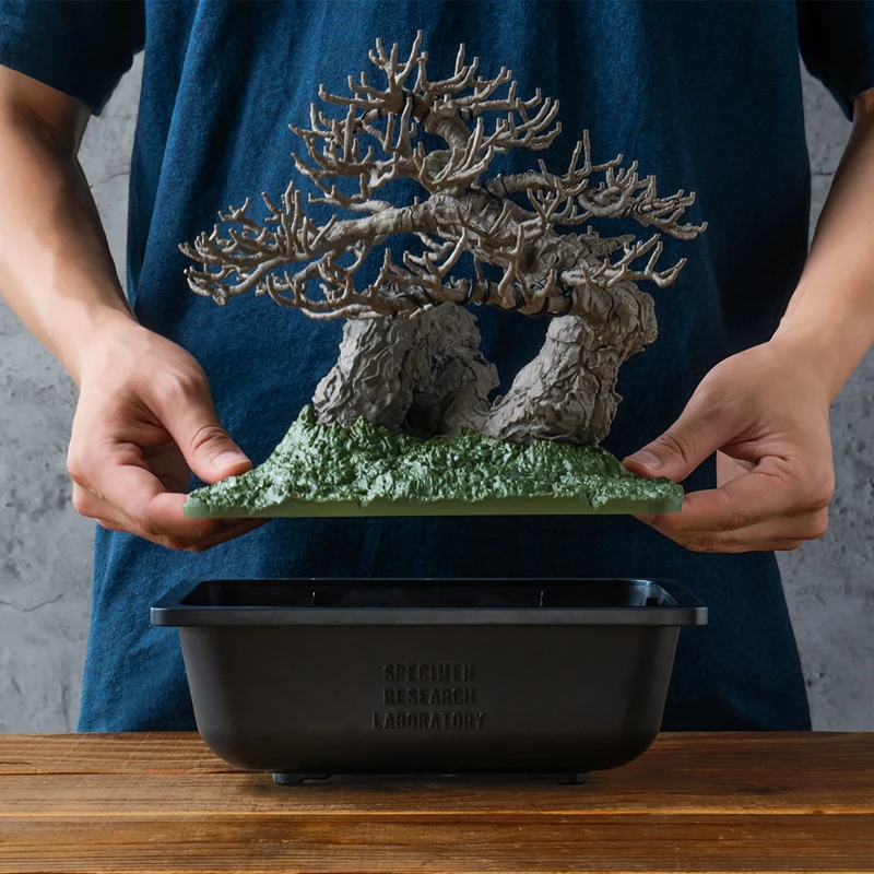 SRL X BANDAI SPIRITS. BONSAI MODEL KIT