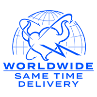 Worldwide Same Time Delivery Logo