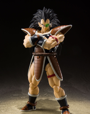 RADITZ Figure