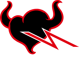 TAMASHII NATIONS ®